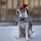  Kentucky Dog Coat Reflective Water Repellent  thumbnail